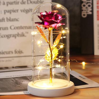 Rose Eternelle Lumineuse